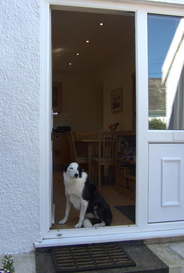 The Cwtch Holiday home